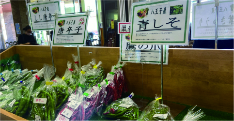道の駅 八王子滝山にて八王子産の野菜購入