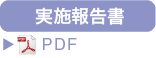 実施報告書